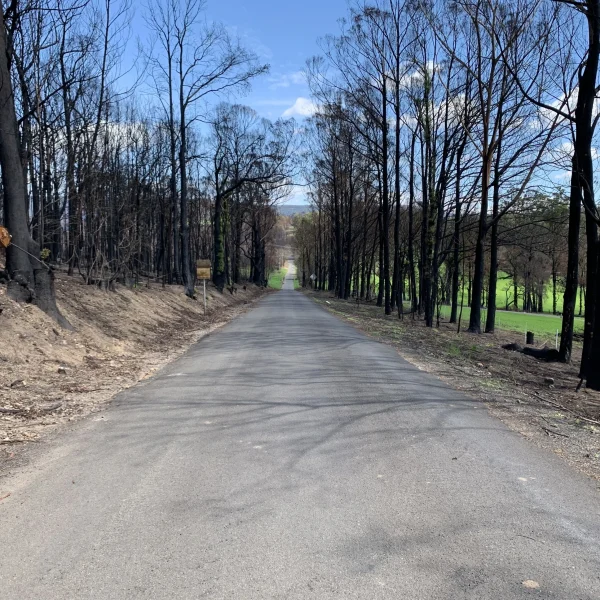 cda-surveys-bushfire-consulting-central-coast-square